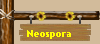 Neospora