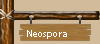 Neospora